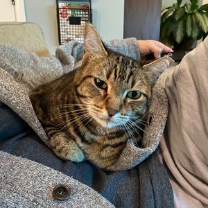 Meet your Posher, Victoria